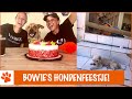 Pippi's Opvang is jarig en is 10 jaar geworden! | DierenpraatTV