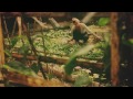 Full Movie (EN)
