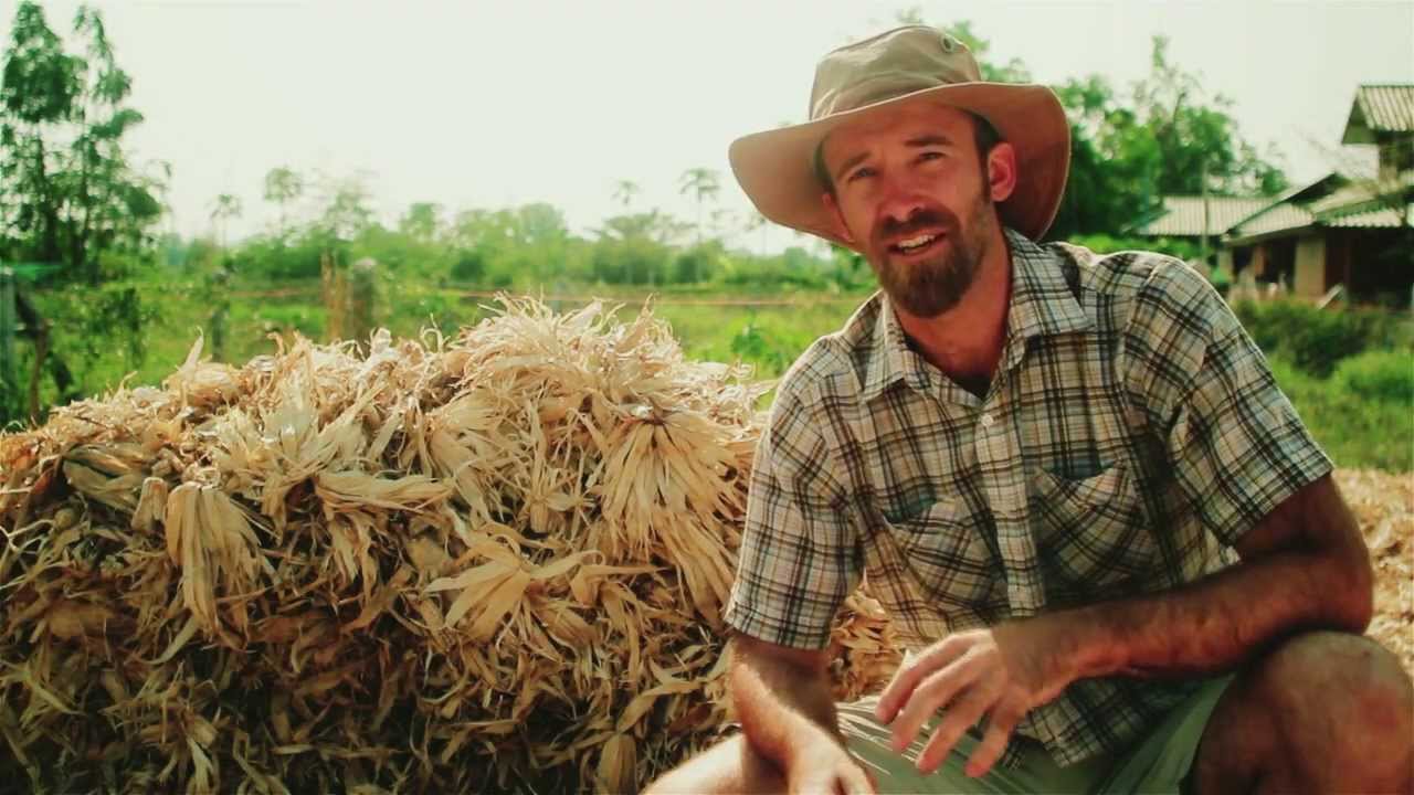 Seeds of Permaculture