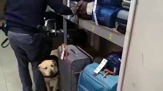 stazioni-ai-raggi-x-in-campania