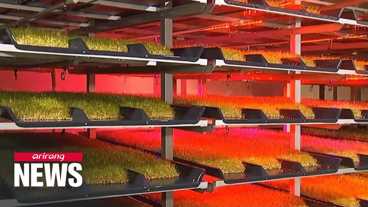 'Smart farms' are the future of agriculture