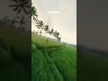 Sorgamae Endralum Ilayaraja Tamil Whatsapp Status