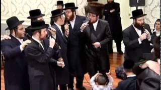 מקהלת שלמה טאוסיג ושירה עם חסידי בעלזא