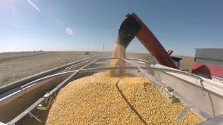 preview picture of video 'Fetters Farms Auction - Harvest Video. Sullivan Auctioneers, LLC'