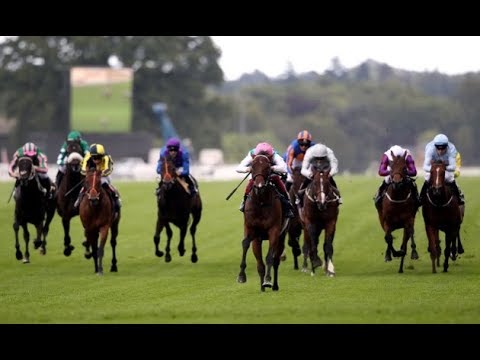 Coventry Stakes (G2)  2018 -  Calyx