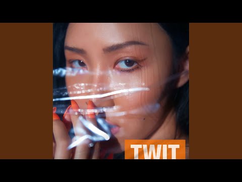 Video thumbnail for 멍청이 (TWIT) (Instrumental)