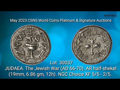 JUDAEA. The Jewish War (AD 66-70). AR half-shekel (19mm, 6.86 gm, 12h). NGC Choice XF 5/5 - 2/5.