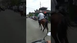 Download lagu Naik kuda Jumatan di alhawi condet mp3