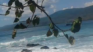 preview picture of video 'Ombak di pulau ternate Alor NTT'