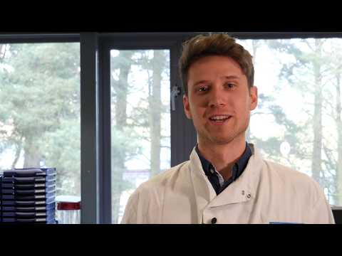 How IFA testing works - Biobest Laboratories