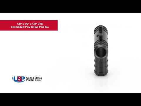 360 Video