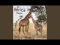 African Adventure