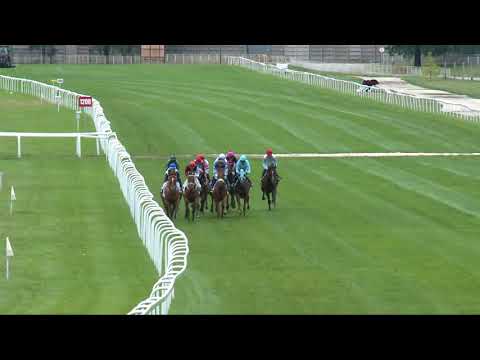 2017.09.03. 7. futam - KOVÁCS MIHÁLY EMLÉKVERSENY- MAGYAR HÁROMÉVESEK NAGYDÍJA (HUN Gd-2)