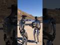 Robots testing the Bulletproof #cybertruck