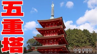 【きやまTV】瀧光徳寺