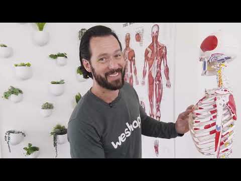 Let Me Show You 3 Moves To Feel Good