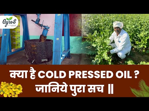 Videos from Gyros Farm