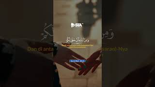Download lagu Manusia Diciptakan Berpasangan (Ar-Rum 20-21) mp3 Download lagu Manusia Diciptakan Berpasangan (Ar-Rum 20-21) mp3