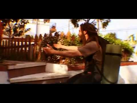 ROE DELGADO  "VIVIR"  2008