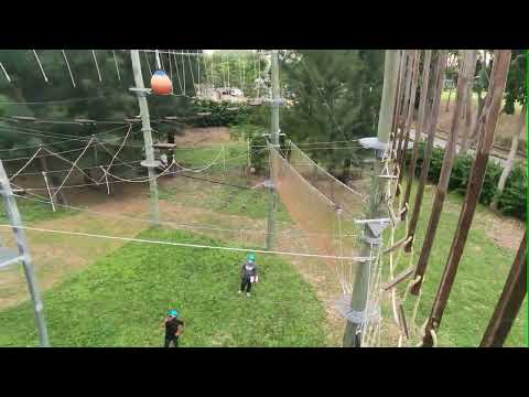 High Elements preview @ Changi OALC