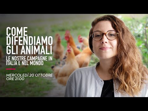 , title : 'Come difendiamo gli animali - Le nostre campagne in Italia e nel mondo'