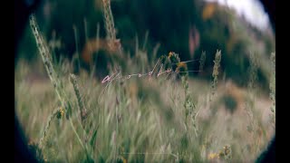 박효신 (Park Hyo Shin)_Goodbye_Official M/V