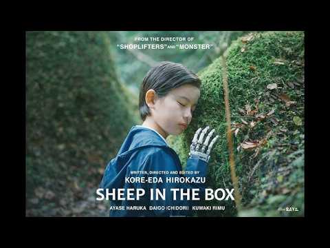 Sheep in the Box