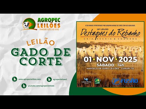 agropecleiloes.com 10º LEILÃO DESTAQUE DO REBANHO | MARTELO DE OURO LEILÕES - GURUPI-TO 01/11/2025