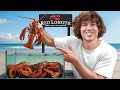 I Bought A Lobster Just To Set It Free