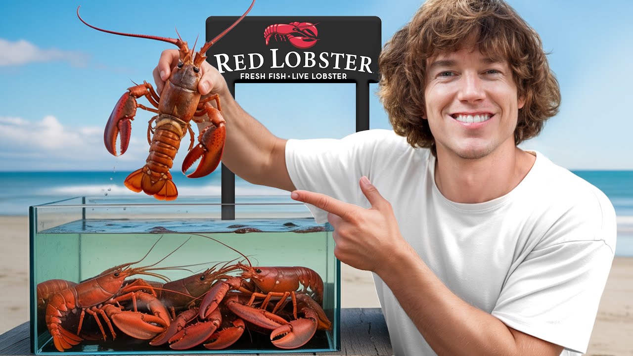 I Bought A Lobster Just To Set It Free!