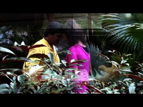 Geet Lakhani Promotional...