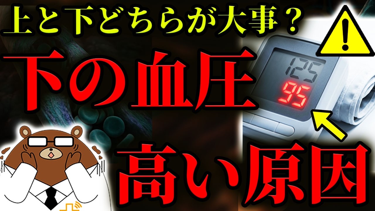 【超意外】絶対に知らないと後悔する、「下の血圧」が上がる本当の原因。実は心臓病のリスクを上昇させる。上の血圧とどっちが重要？原因は全く異なる仕組みだった。下の血圧を下げる方法は？医師が完全解説。