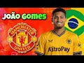 🔥 João Gomes ● Skills & Goals 2023 ► This Is Why Manchester United Wants João Gomes