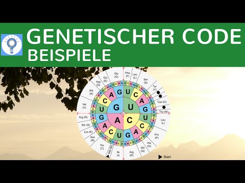 Hals Lutschtabletten Diabetiker Wie man den Cholesterinspiegel bei Patienten mit Diabetes mellitus senken