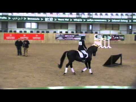 WESTON JUSTICE BBSH stallion event Hartpury 2011