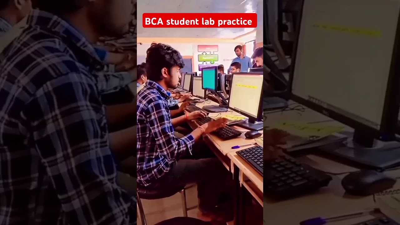 BCA student lab practice day computer lab BCA student #computer #bca #computerlab #coding #study