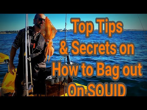 How to catch more squid and reach your bag limit.