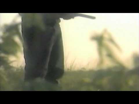 Video $The Broken Spur