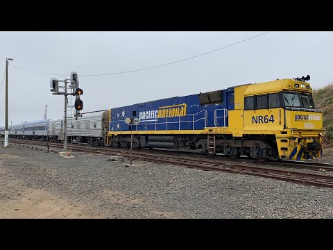 81, BL, NR, CSR & G Class