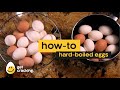 Hard Boiled Egg Recipe How To Make The Perfect Hard Boiled Egg