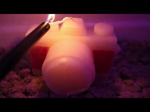 Focus- A Short Film by Nicole Tapson