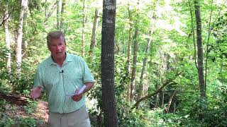 Lake Keowee Real Estate Video Update July 2026