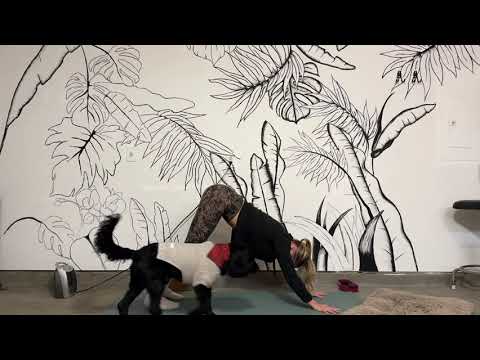 Ashtanga-Inspired Flow