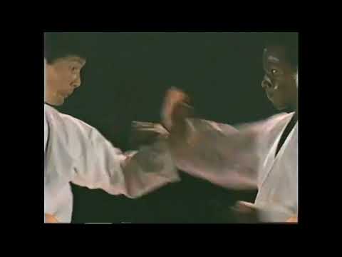 Reportage sur le Shitō-Ryu