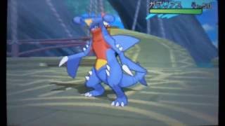 ポケモンSM　バトルツリー　スーパーシングル200連勝
