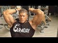 Volimunous ARMS and SIDE DELTS - NEW Supersets