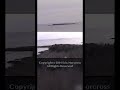 2001 8mm Analog HandyCam Footage Archival Footage Shorts