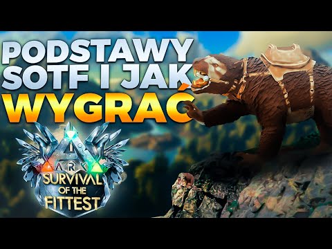 PODSTAWY NOWEGO T SOTF I JAK WYGRAĆ! - ARK SOTF