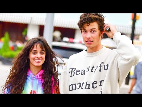 Shawn Mendes & Camila Cabello Set to Perform at 2019 VMAs Together?