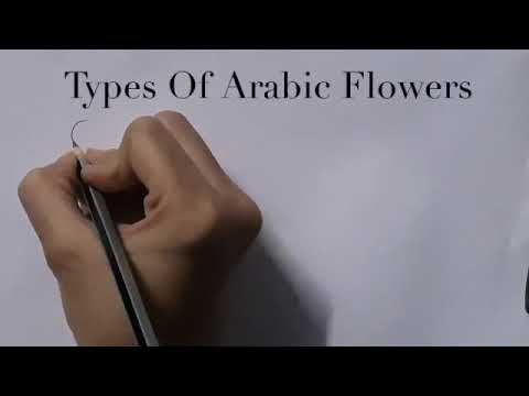 New Mehendi Designs||New Heena Art||Types Of Arabic Flowers ||Mehendi Art||New Mehendi Designs